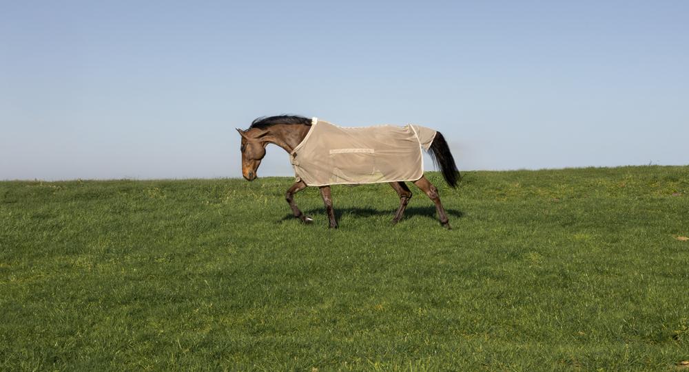 Start the fly season with comfort