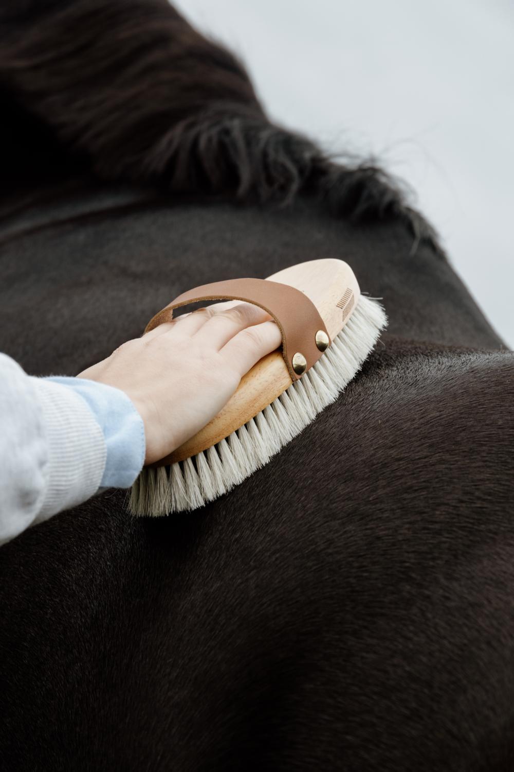 Overall Brush Body Shine