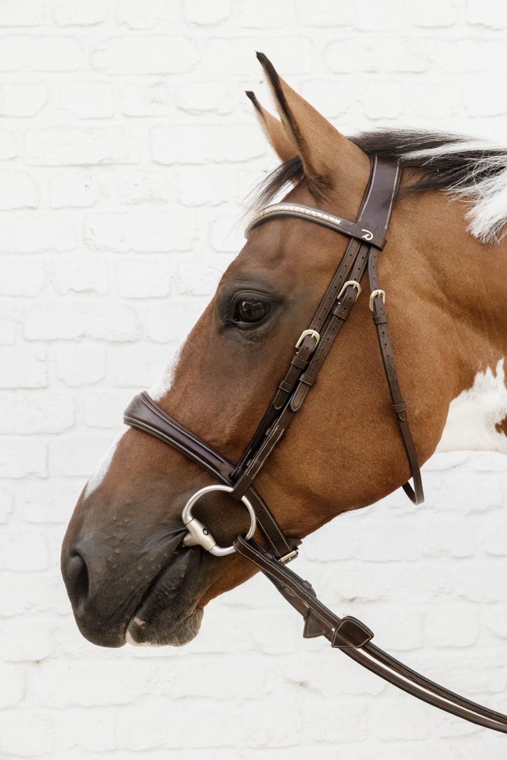 Anatomic Noseband Without Flash