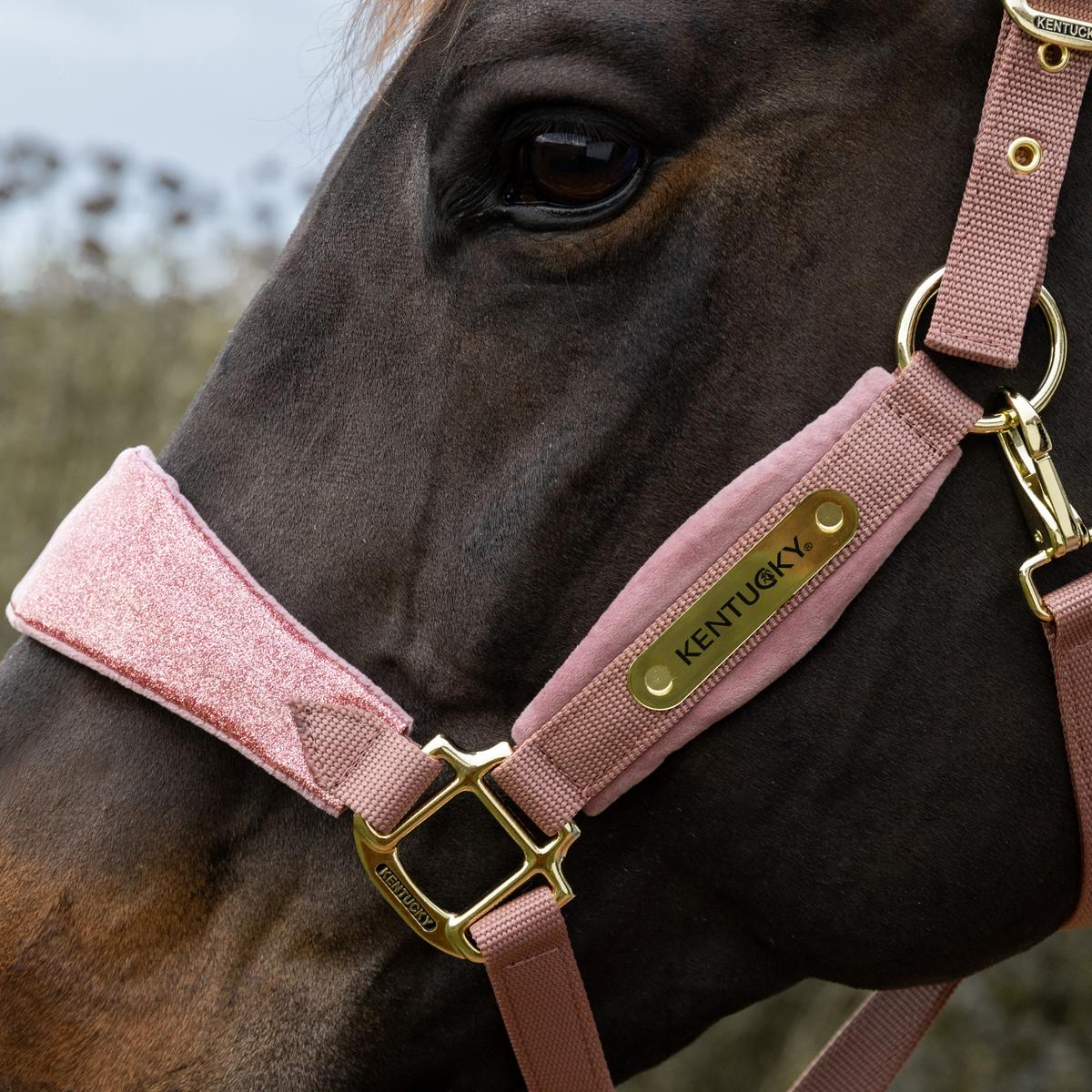 Rhinegold Licol Licorne Rembourré + Longe Assortie – Harnachement Poney/Cheval, Design Licorne Magique En Framboise