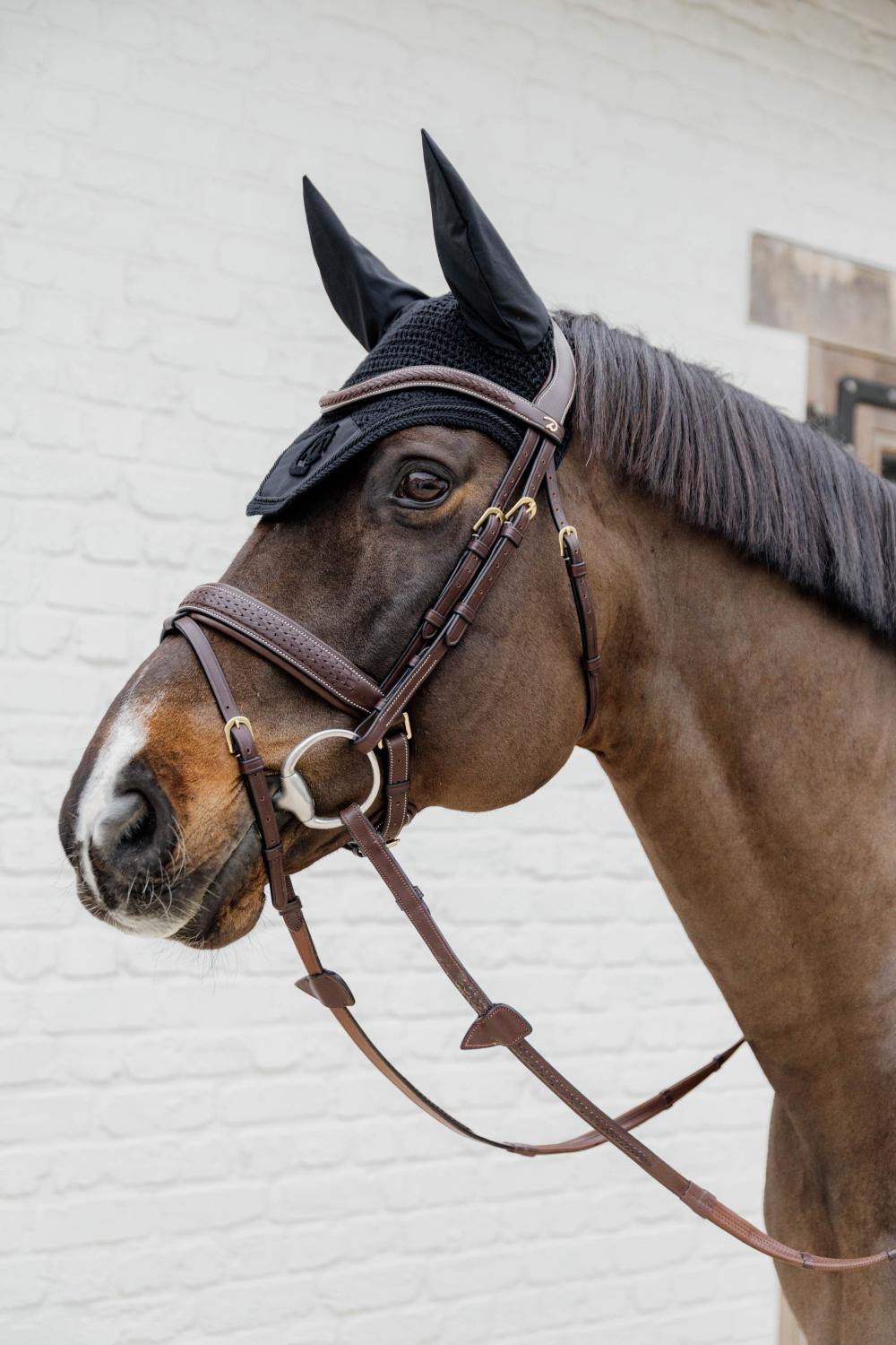 Plaited Flash Noseband Bridle with Pull back