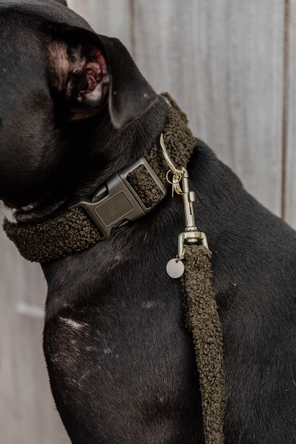 Dog Collar Teddy Fleece