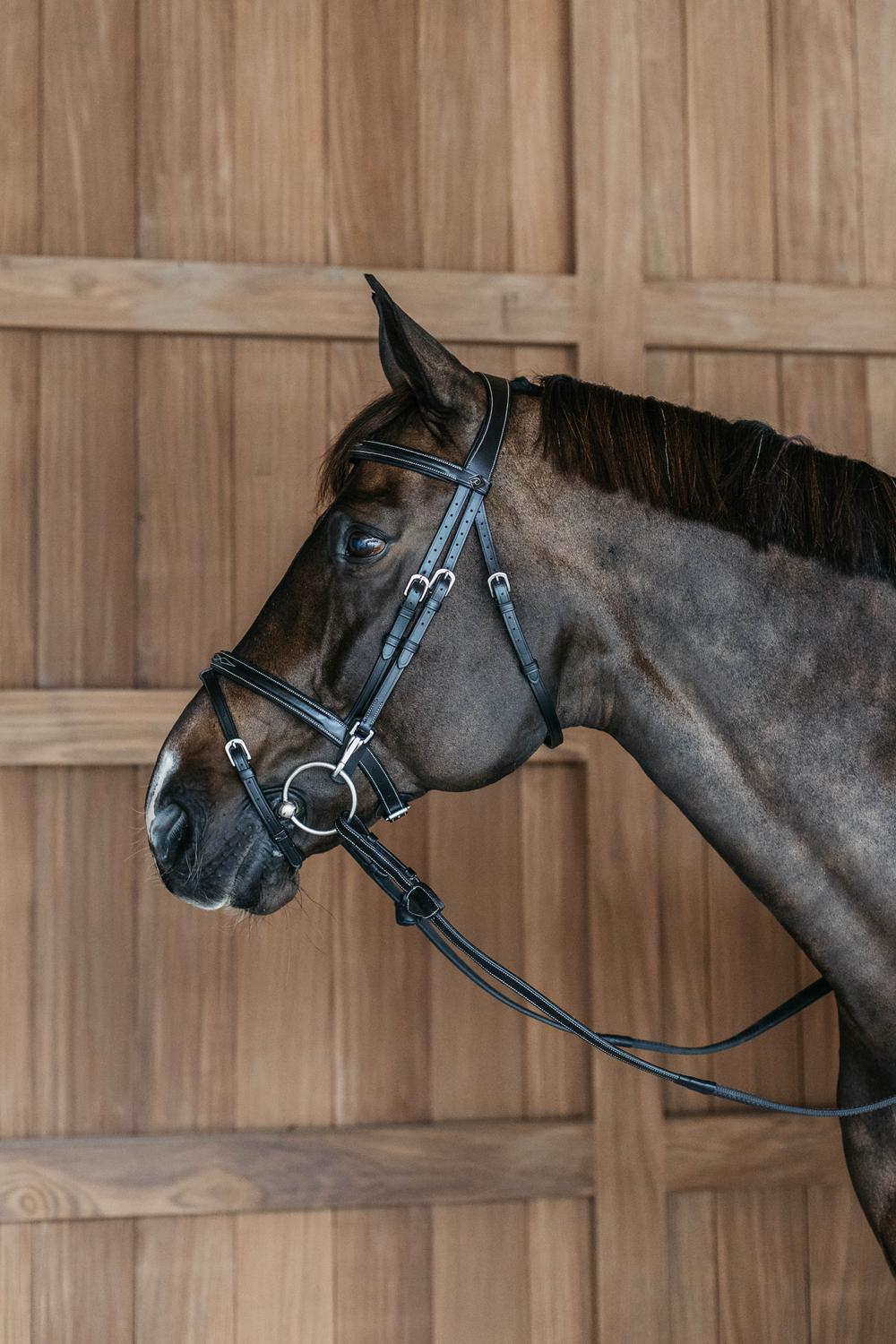 Flash Noseband Bridle with Snap Cheekpieces