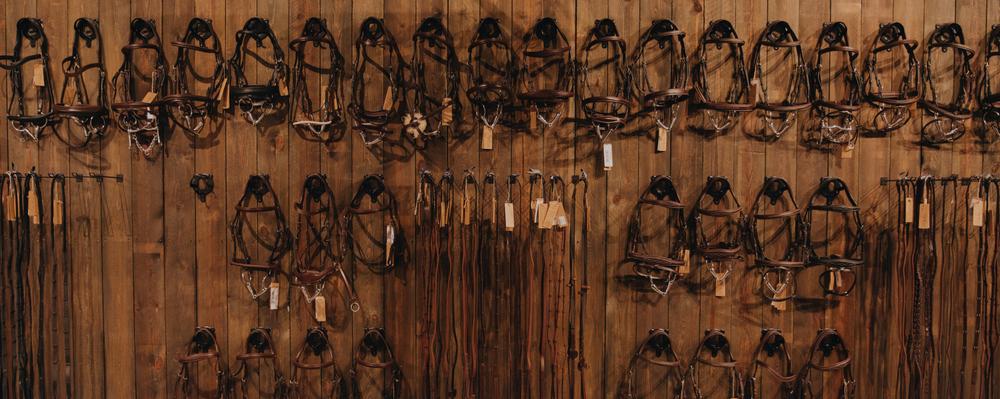 Dy’on Geschenkgutschein