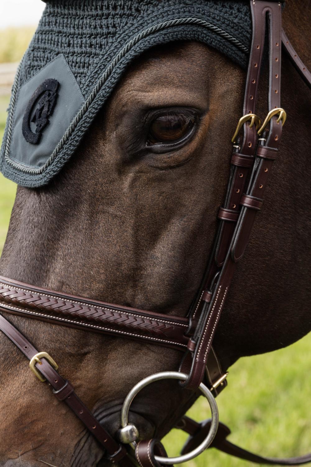 Plaited noseband