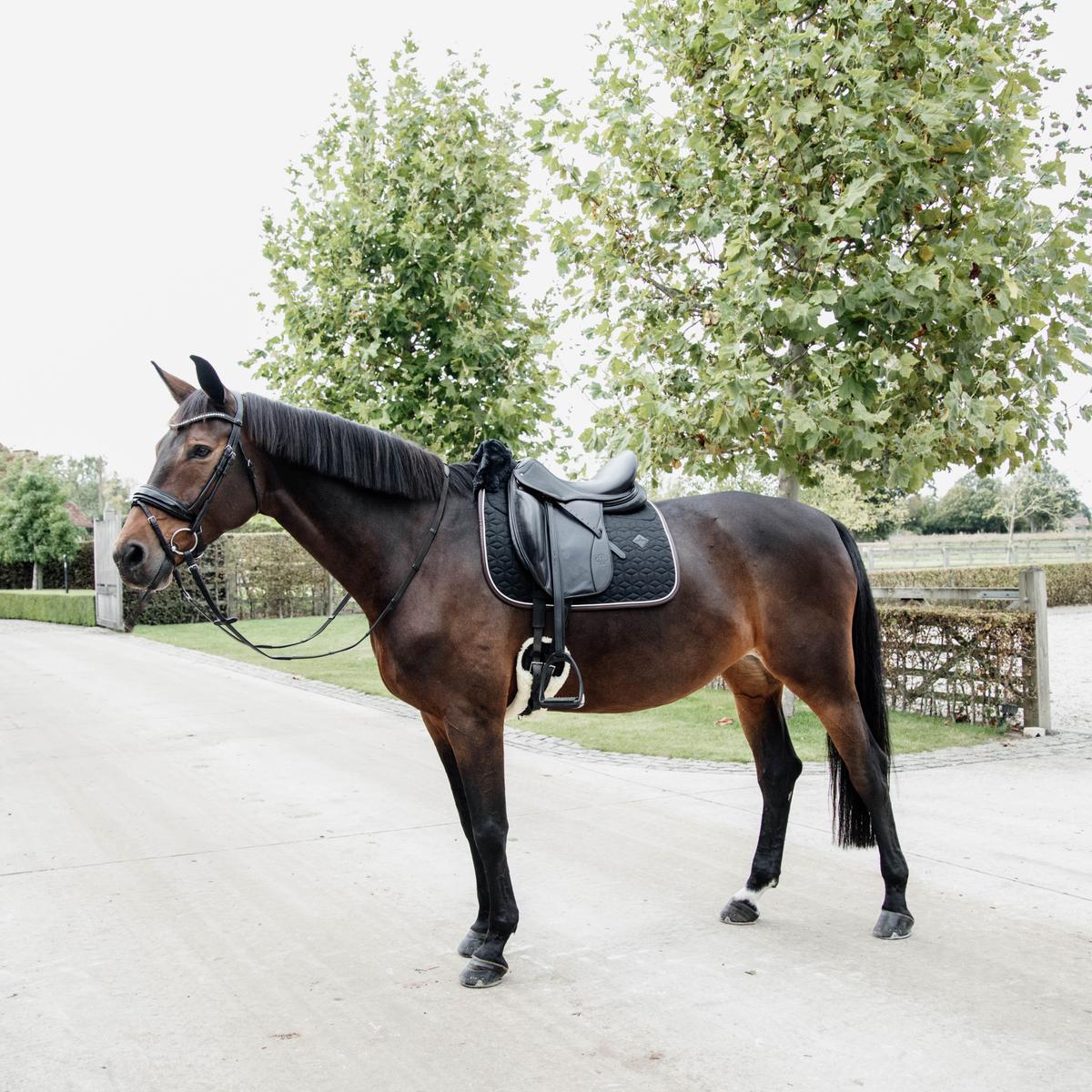 AMKA Selle de shetty LittleBilly - Kit complet pour chevaux en bois - Noir - Pour poney ou shetty ou cheval en bois AMKA Selle de shetty LittleBilly - Kit complet pour chevaux en bois - Noir - Pour poney ou shetty ou cheval en bois