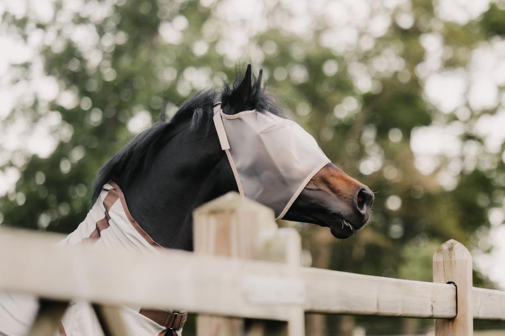 Fly Mask Classic without ears