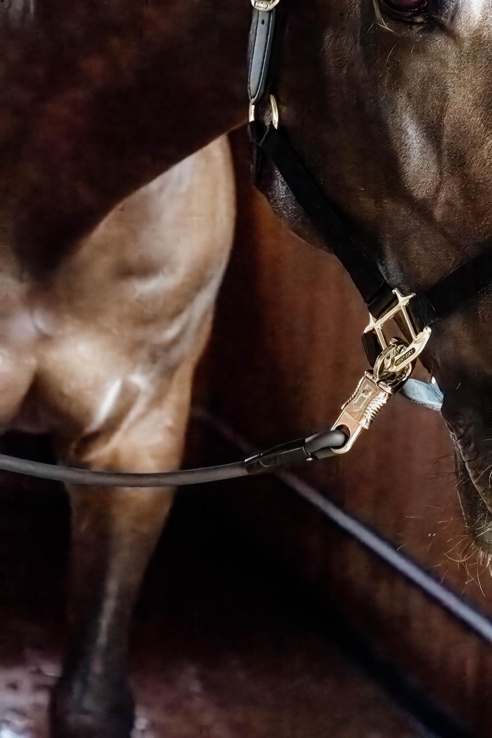 Horse Box Lead & Cross Ties Silicone
