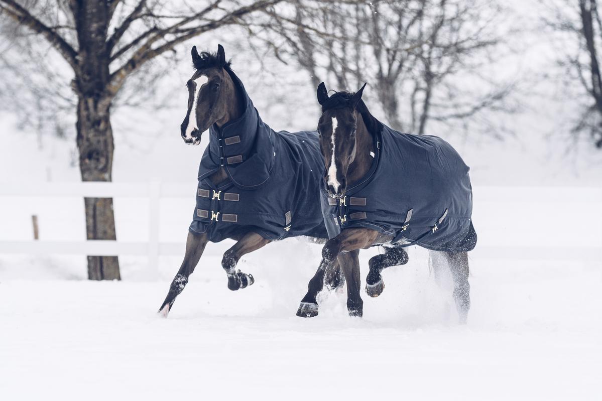 The ultimate horse rugging guide Kentucky