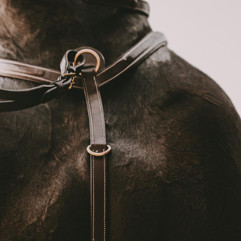 Colliers de chasse martingales