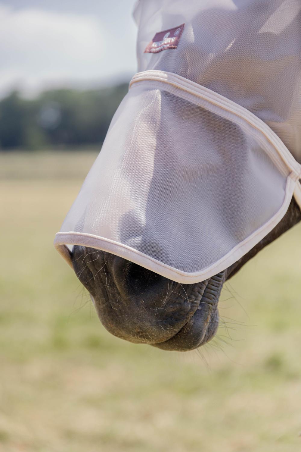 Fly Mask Skin Friendly with ears