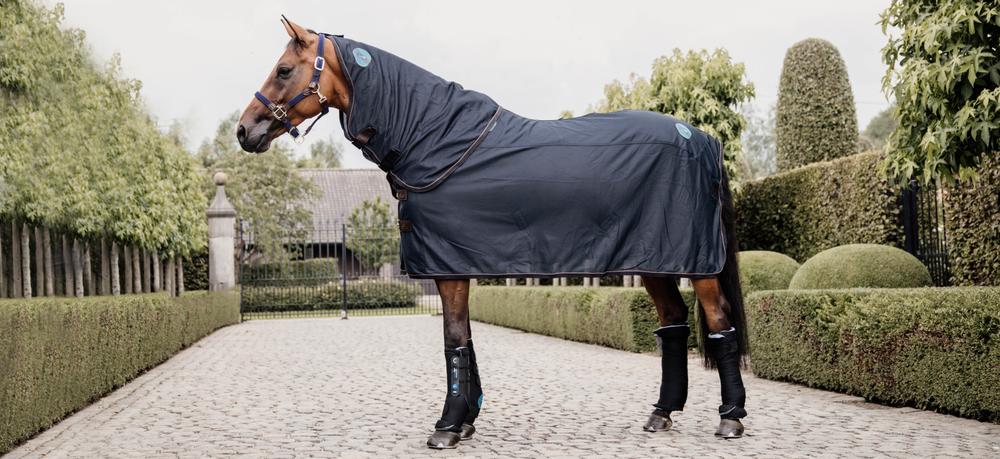 Support Your Horse After Every Ride