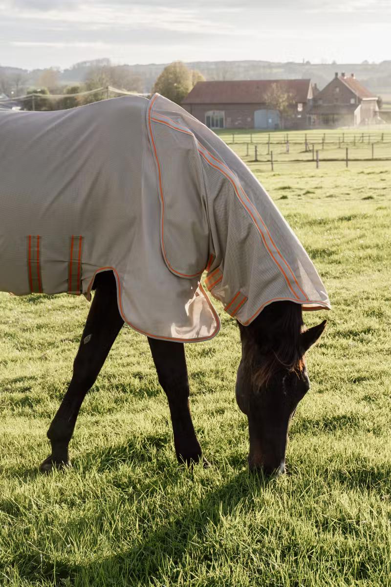 Mesh Fly Rug Comfort