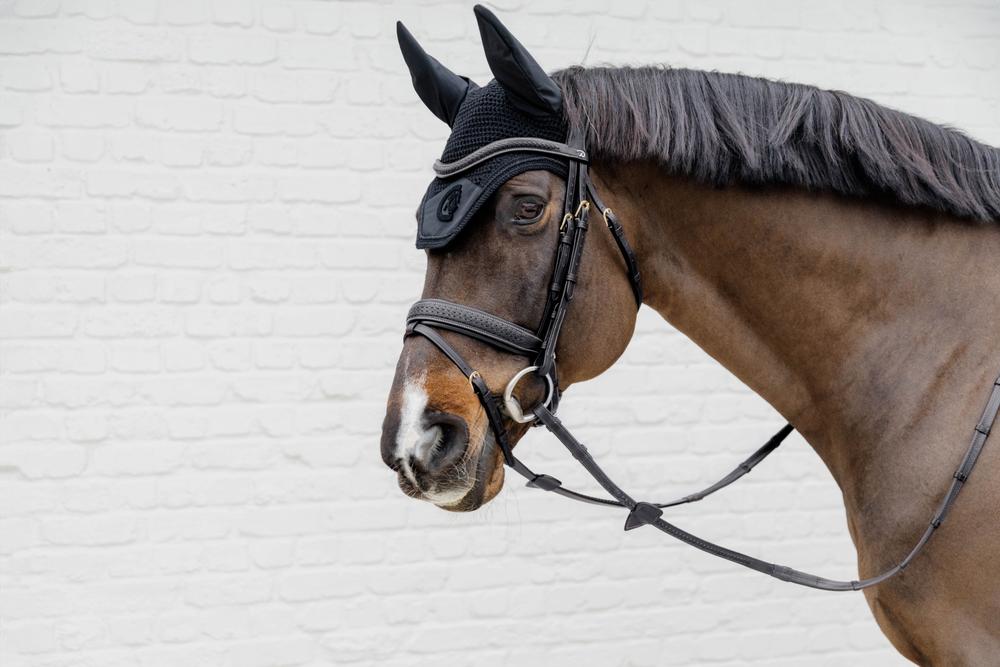 Plaited Flash Noseband Bridle with Pull back