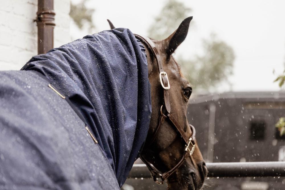 Waterproof Horse Scarf Classic