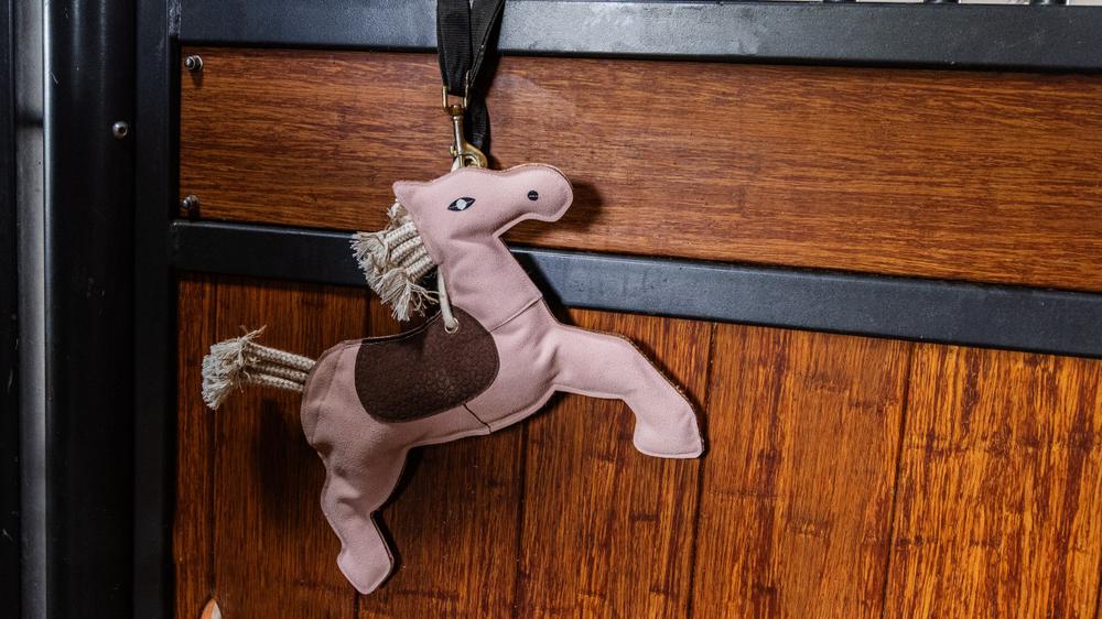 Das Relax Pferdespielzeug ist zurück