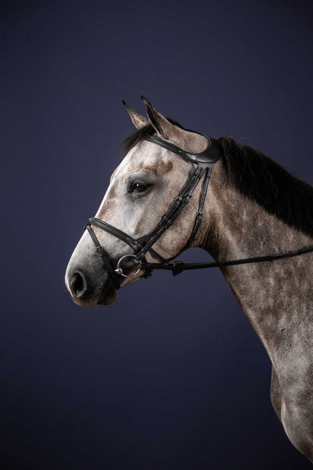 "Difference" Bridle