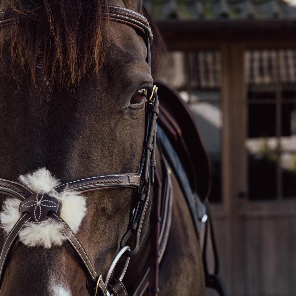 Bridlework