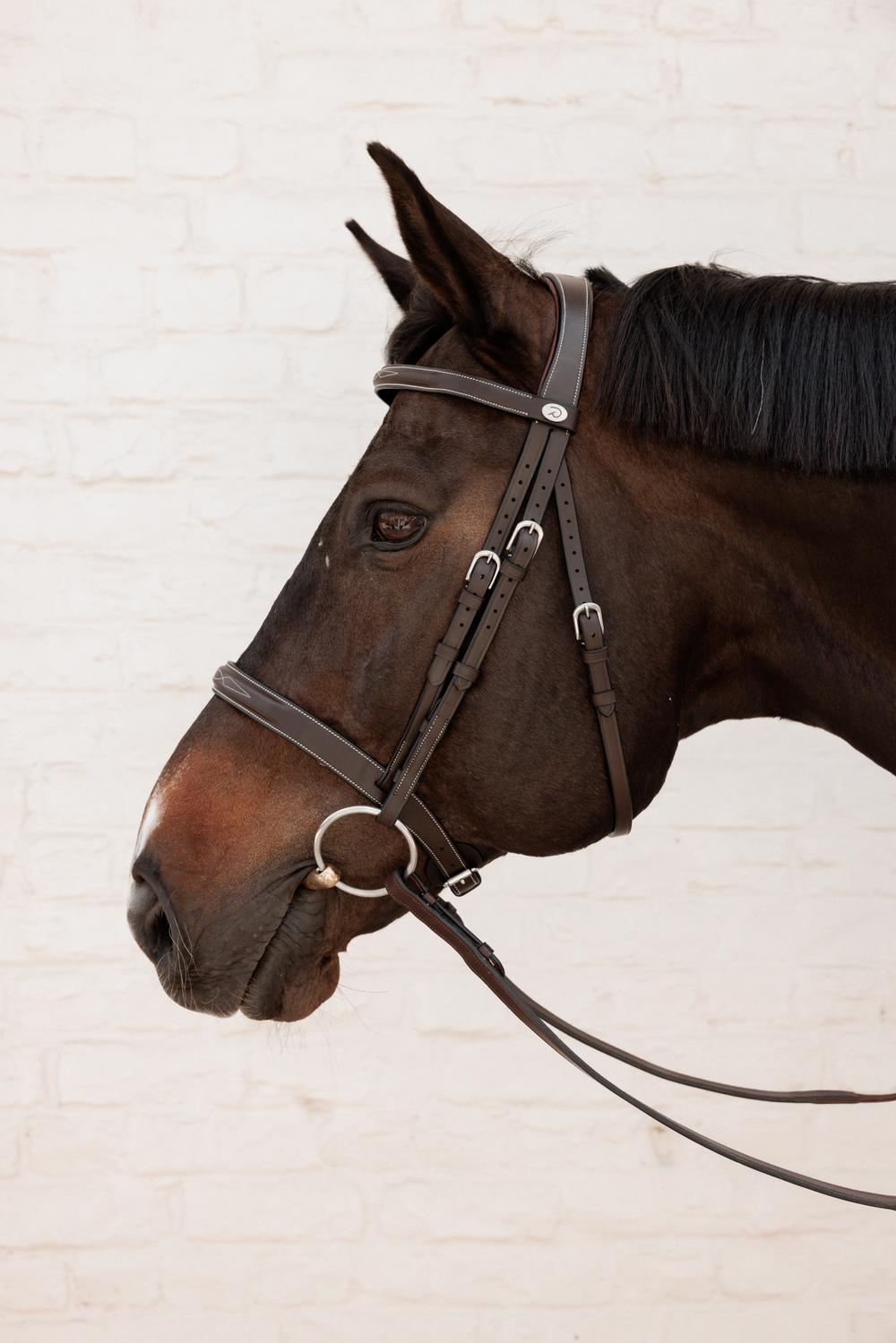 Cavesson Hunter Bridle