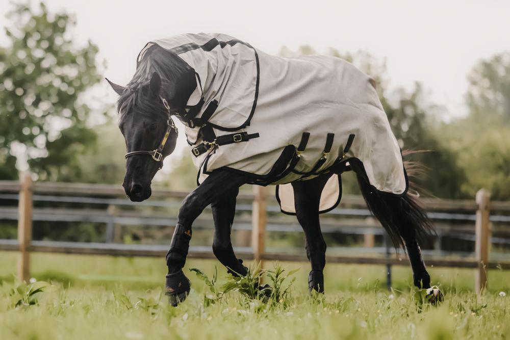 Mesh Fly Rug