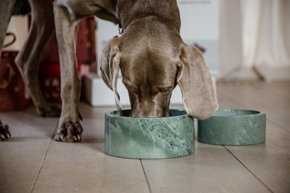 Marble Water Dog Bowl from Mr. Dog – Mr. Dog New York