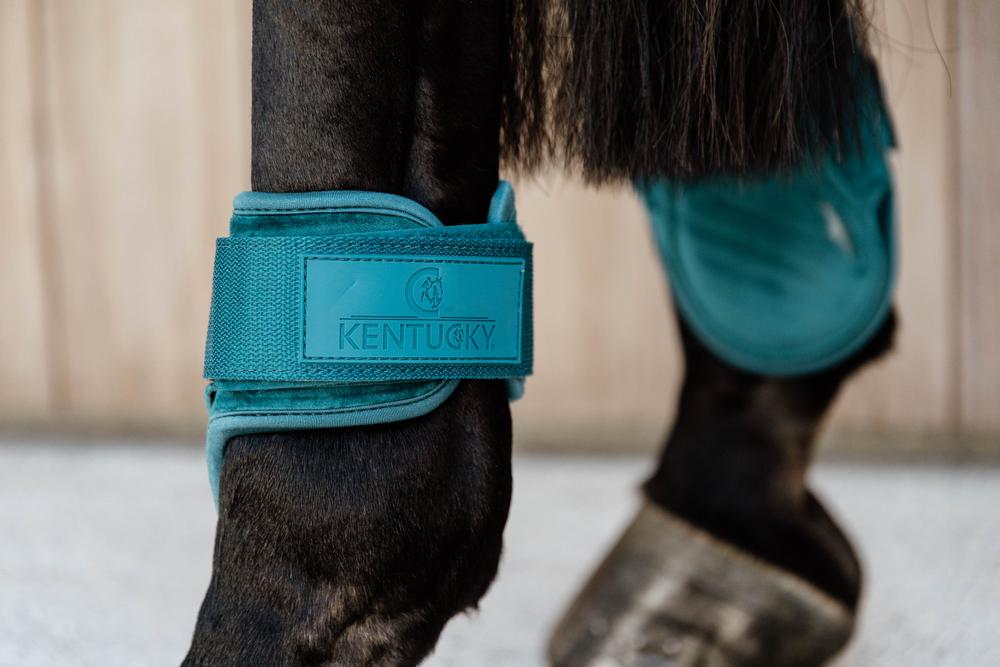 Professional Horsewear Protection – Kentucky Horsewear | Kentucky