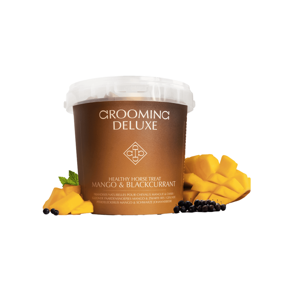 Healthy Horse Treats