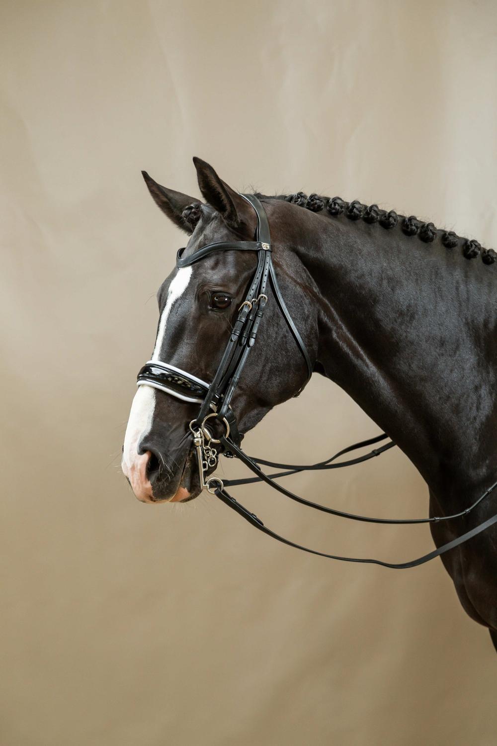 Stang & Trens hoofdstel met brede lakleer Crank neusriem witte onderlaag