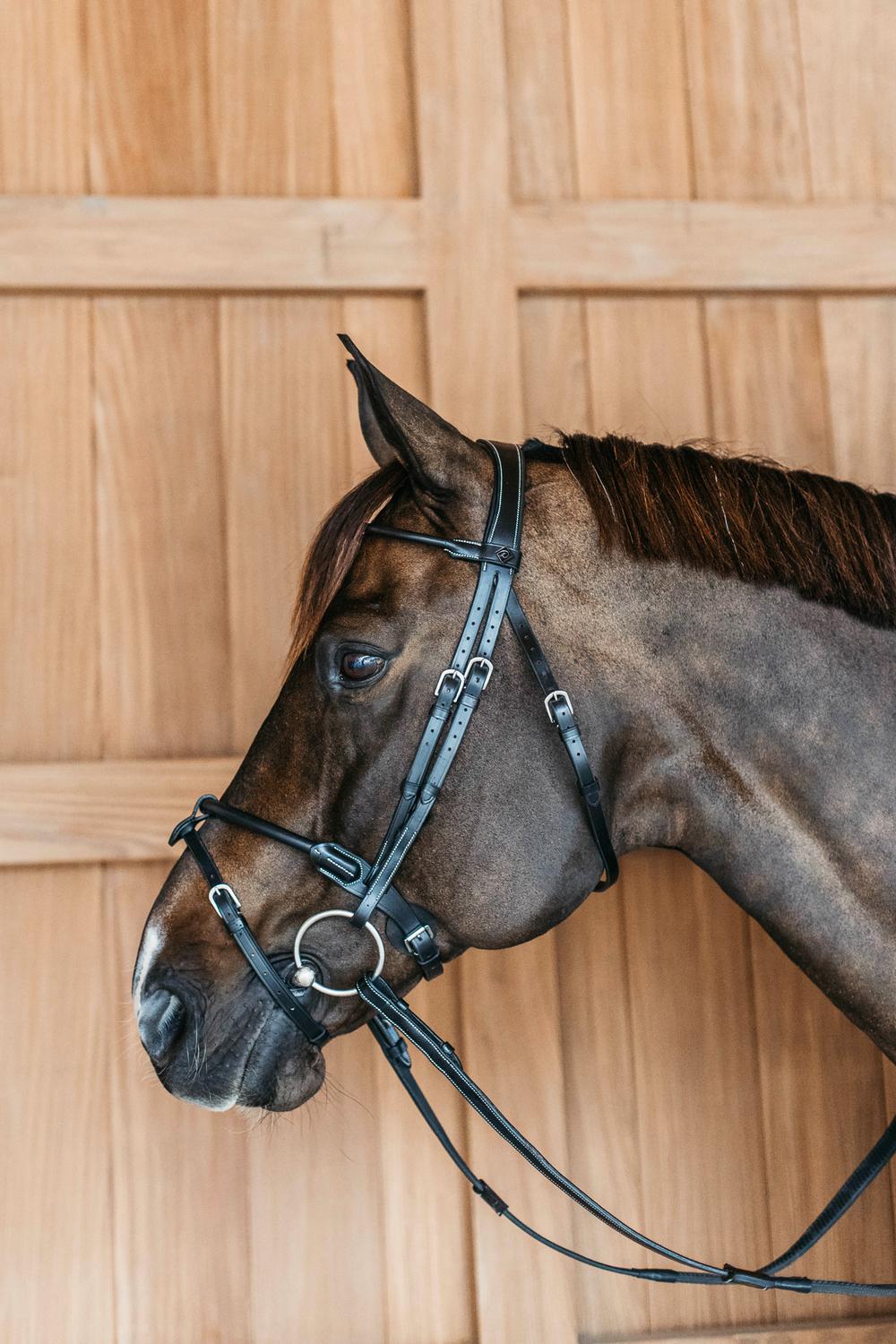 Round Leather Bridle