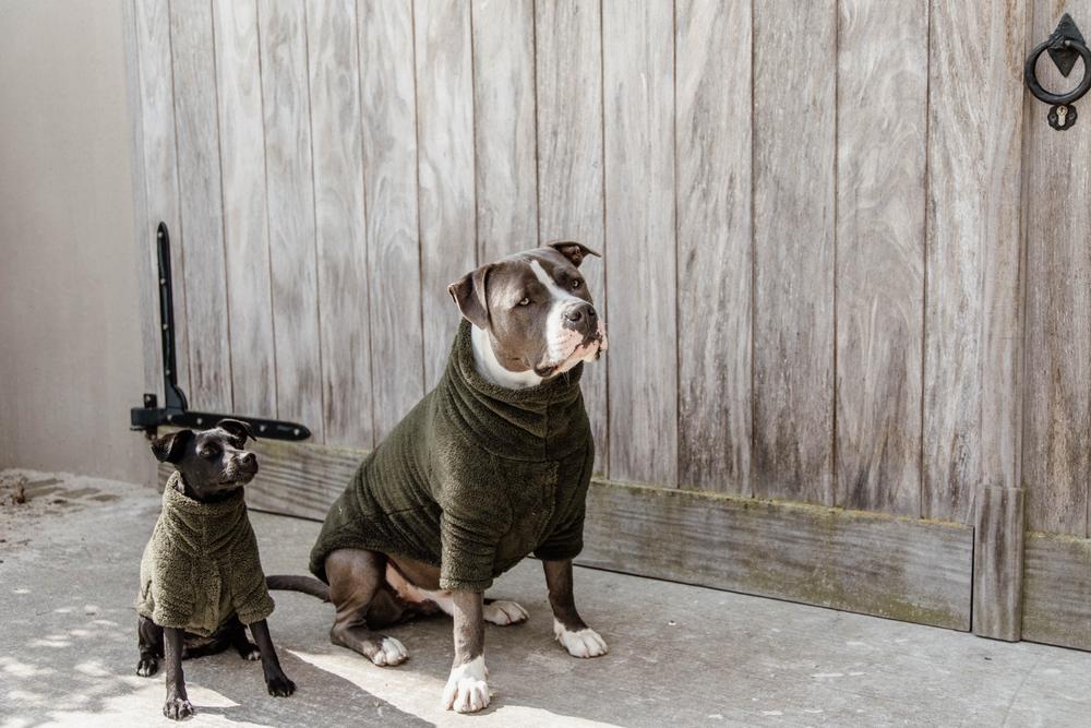Dog sweater teddy fleece pine green xxs 25cm, Pine green, XXS, 52156-74-XXS