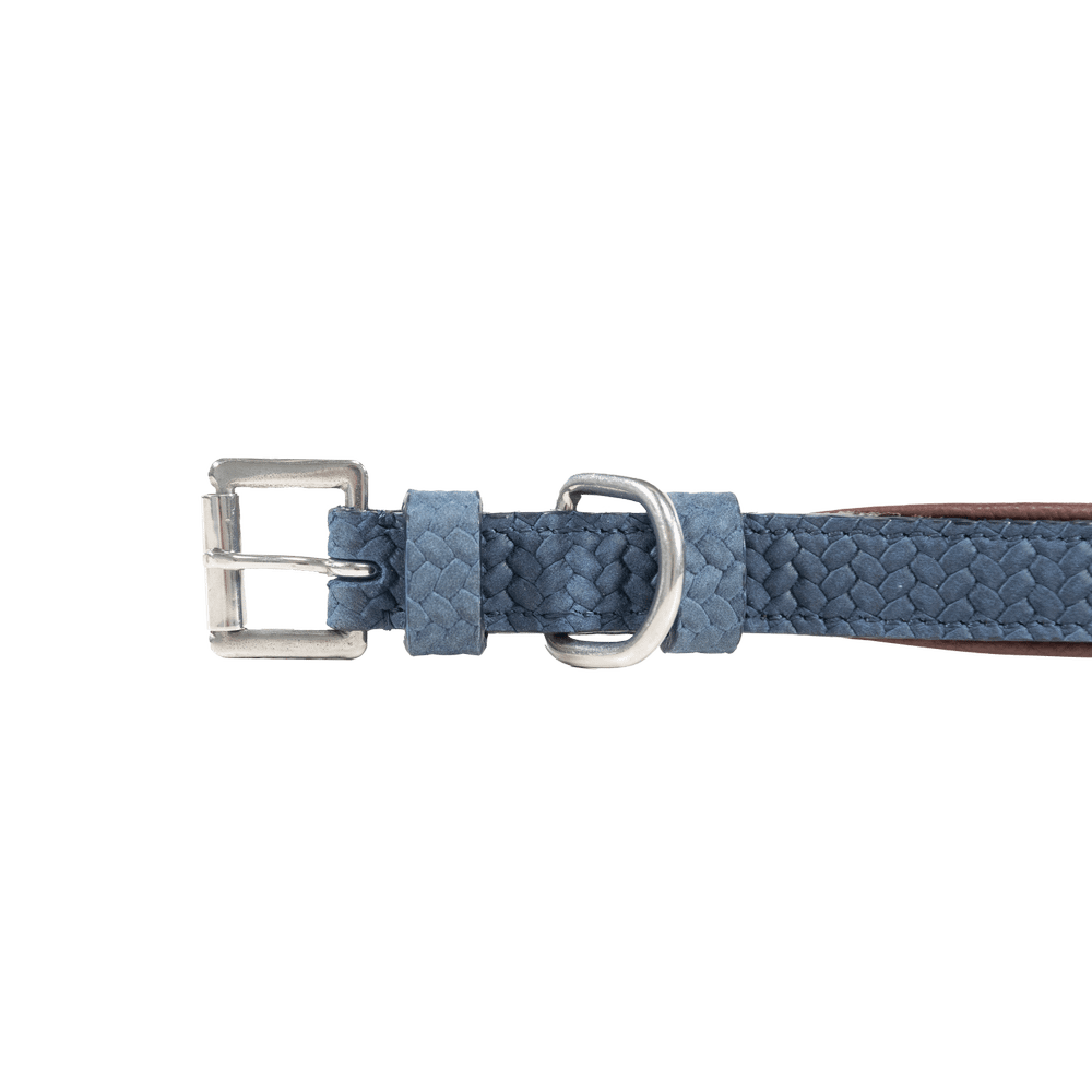 Basket Dog Collar