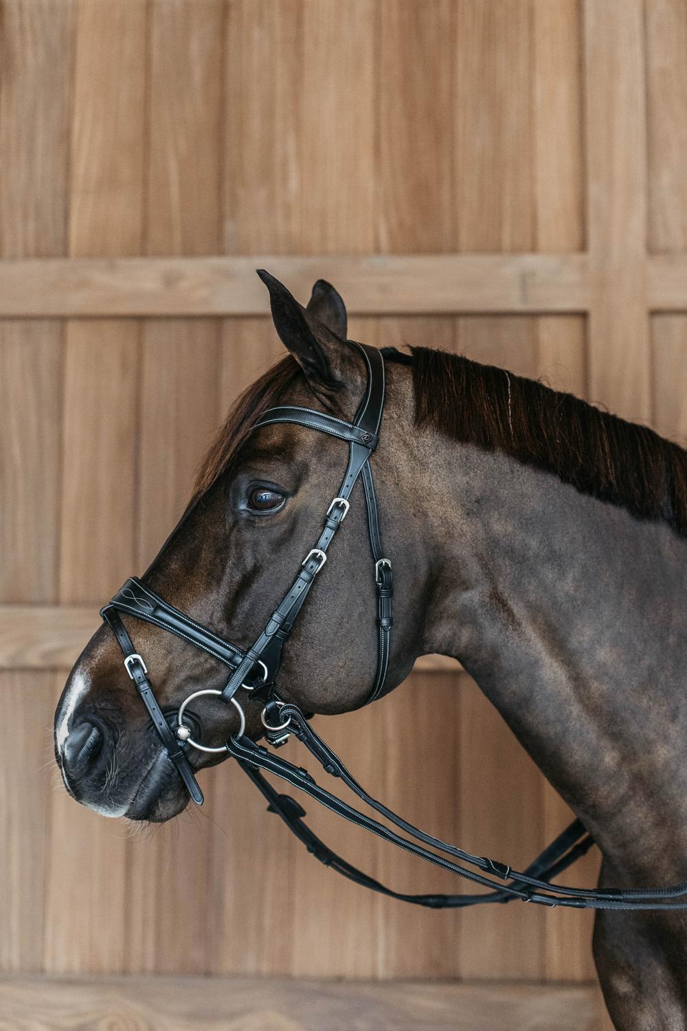 Working Motion Bridle