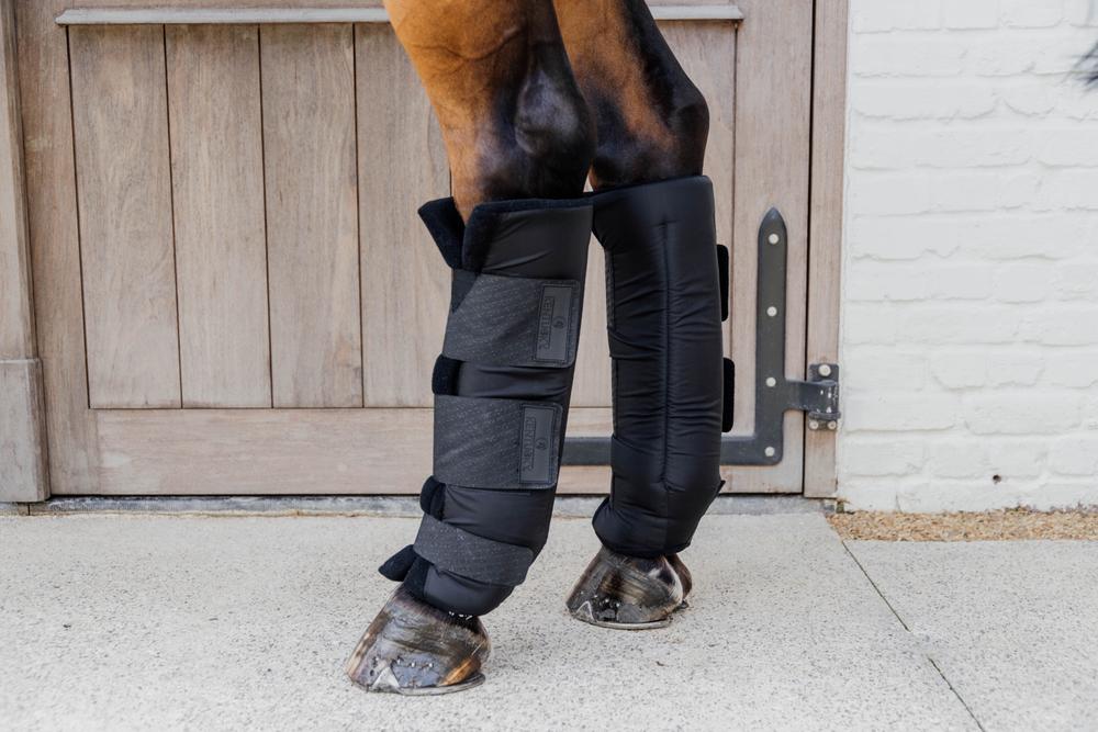 Stable Boots PROtect Classic Hind