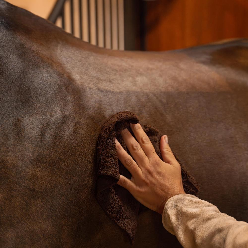 Horse Care 