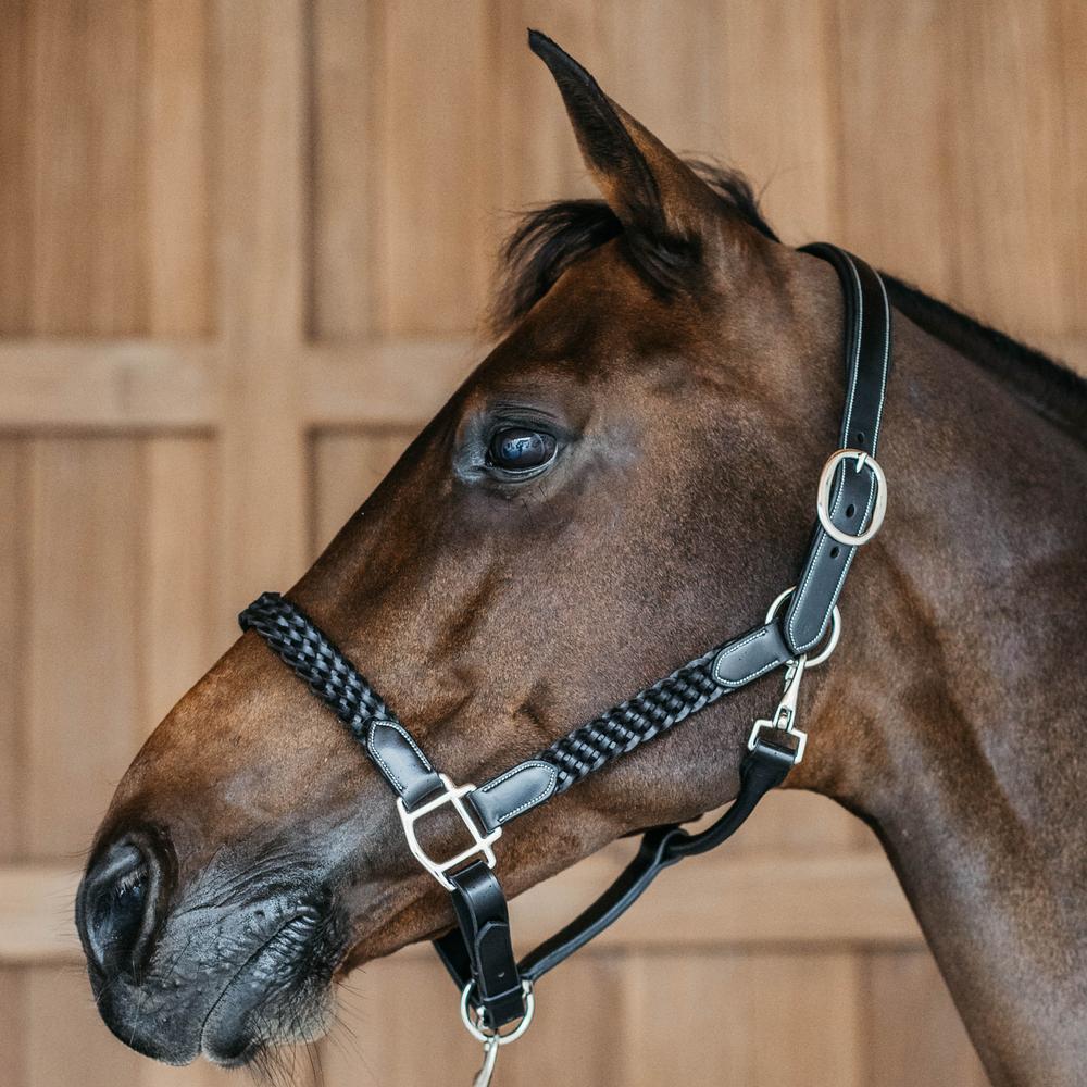 Plaited Halter Dy'on DurableLeather
