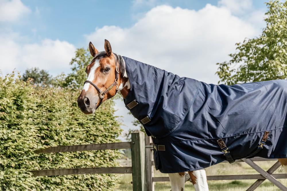 Turnout Rug All Weather Quick Dry Fleece With Neck