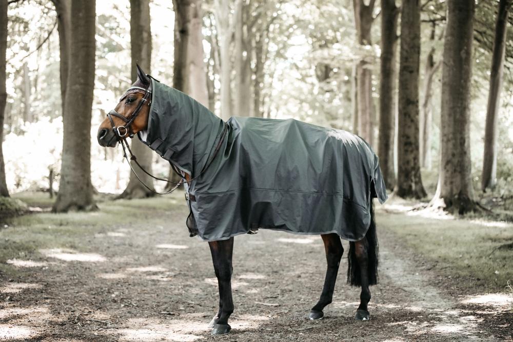 Horse Raincoat Hurricane