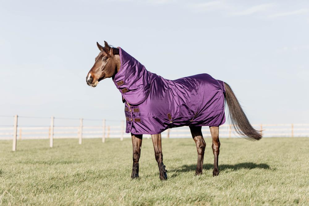 Turnout Rug All Weather Waterproof Pro