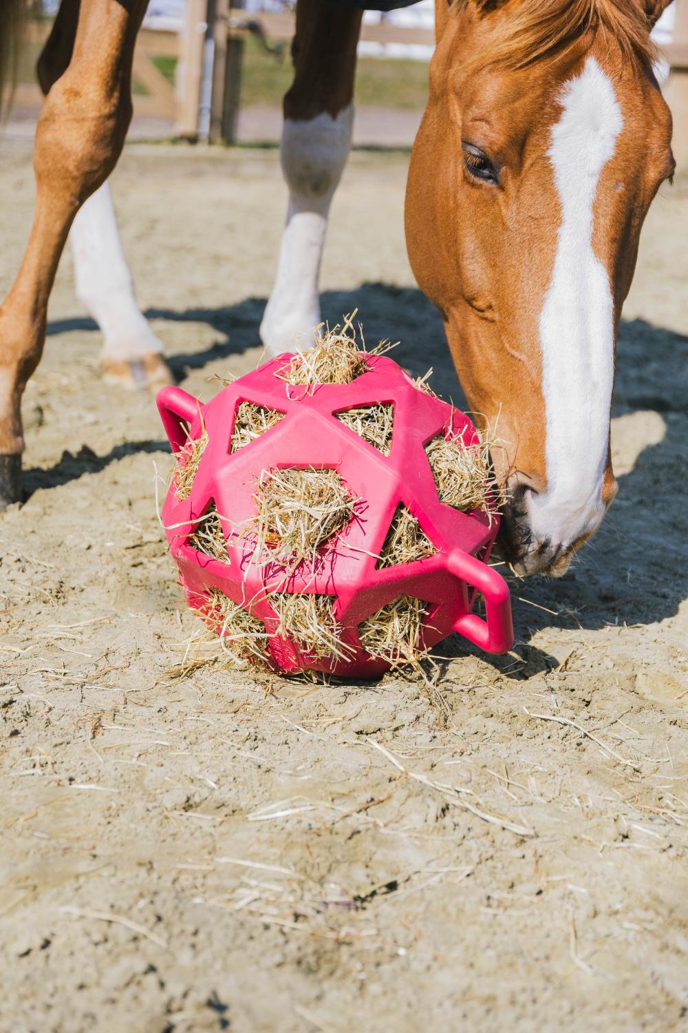 Relax Horse play & hay Ball Pink size L 40cm