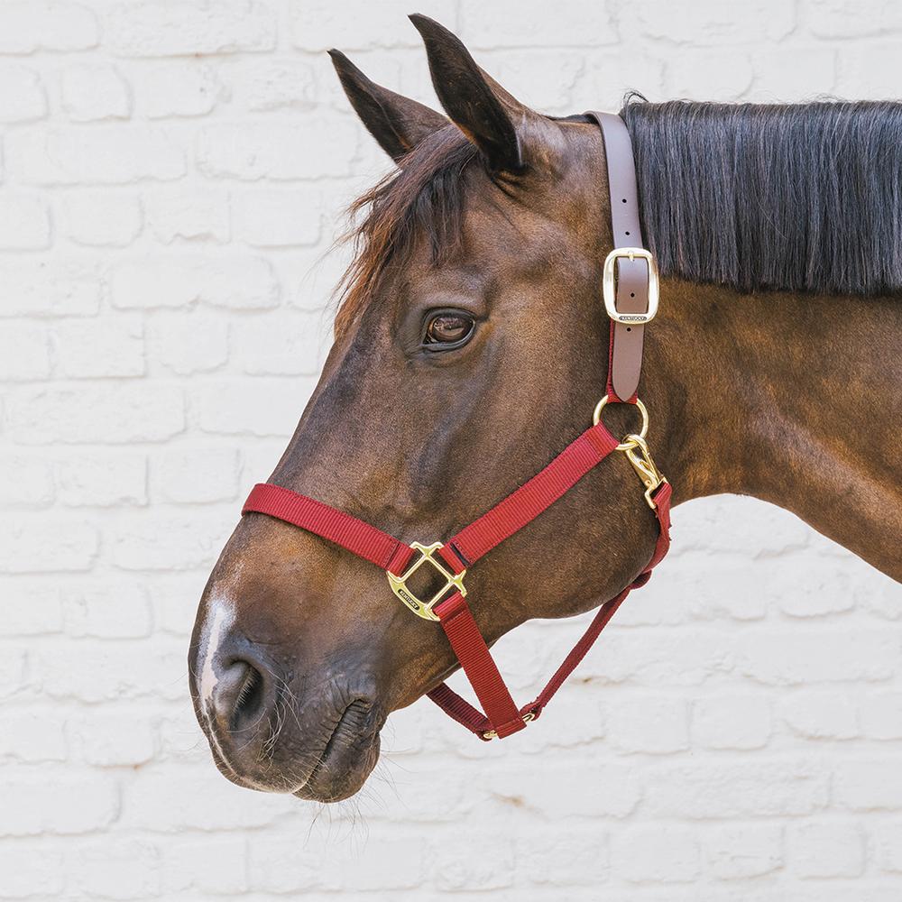 Nylon Halter Breakaway