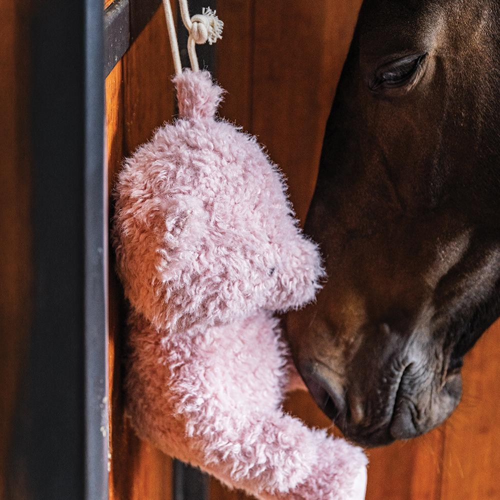Relax Horse Toy Bear