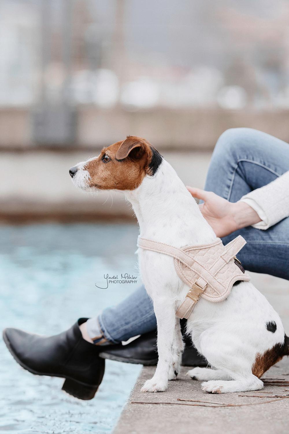 Dog Harness Body Safe Wool