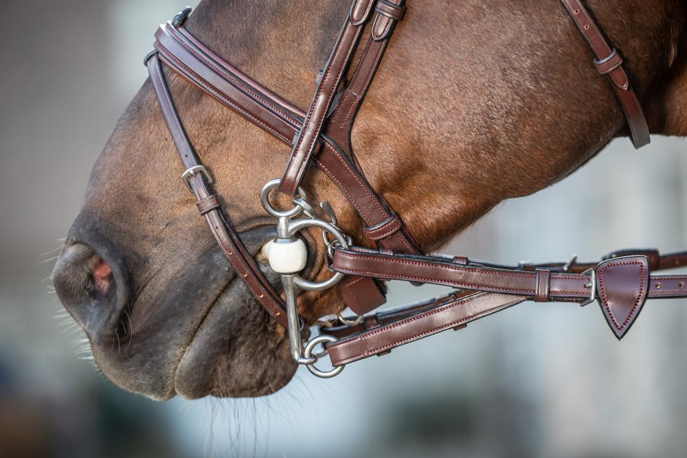 1/2" Converter Rubber Reins With 7 Leather Loops