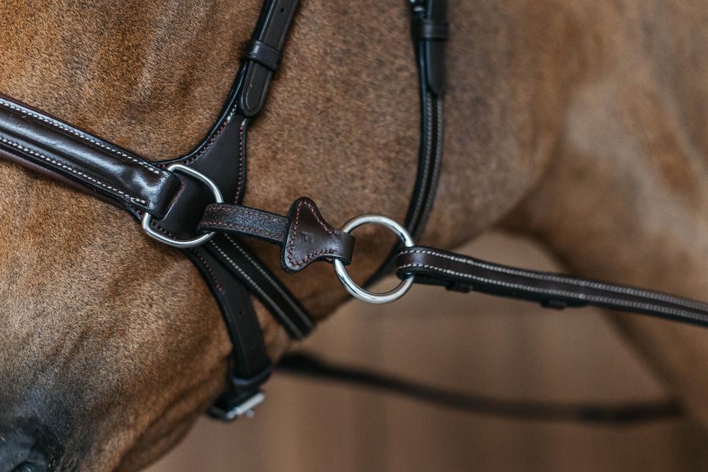 Working Motion Bridle