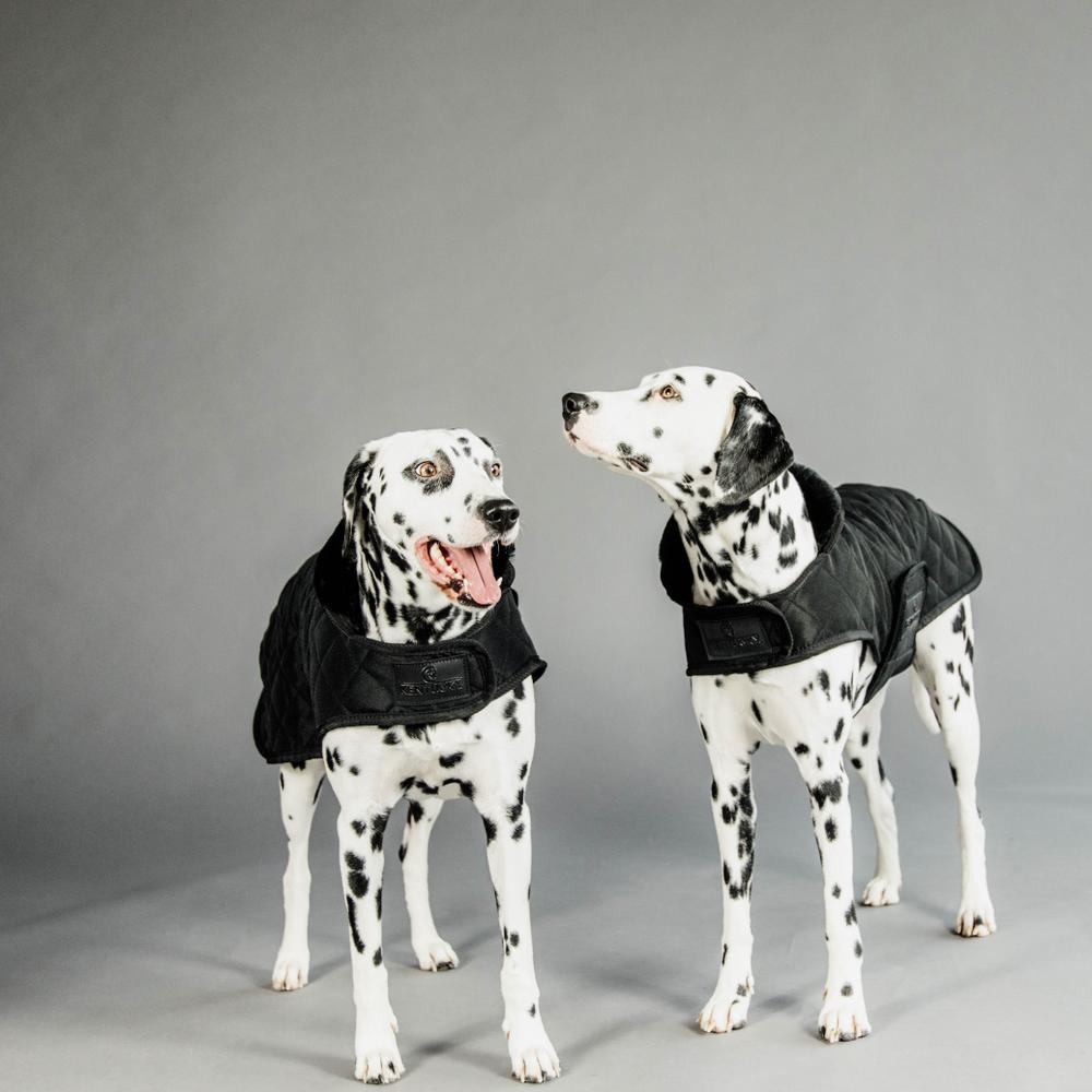 Dog Coat Original | Kentucky Dogwear | Warmth