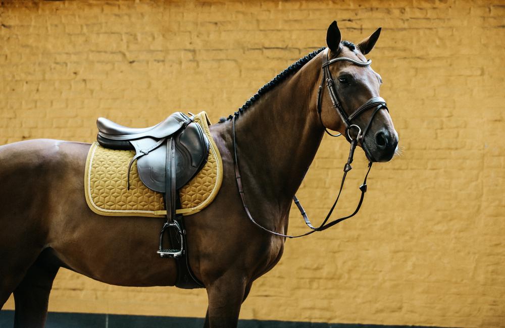 Kentucky Horsewear Cap Velvet Mustard