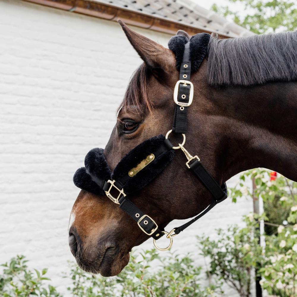 Halsters & Halstertouwen