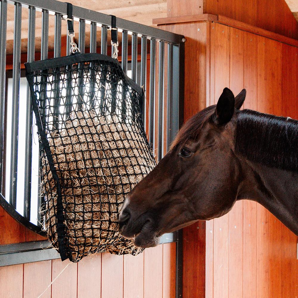 Stable & Transport 
