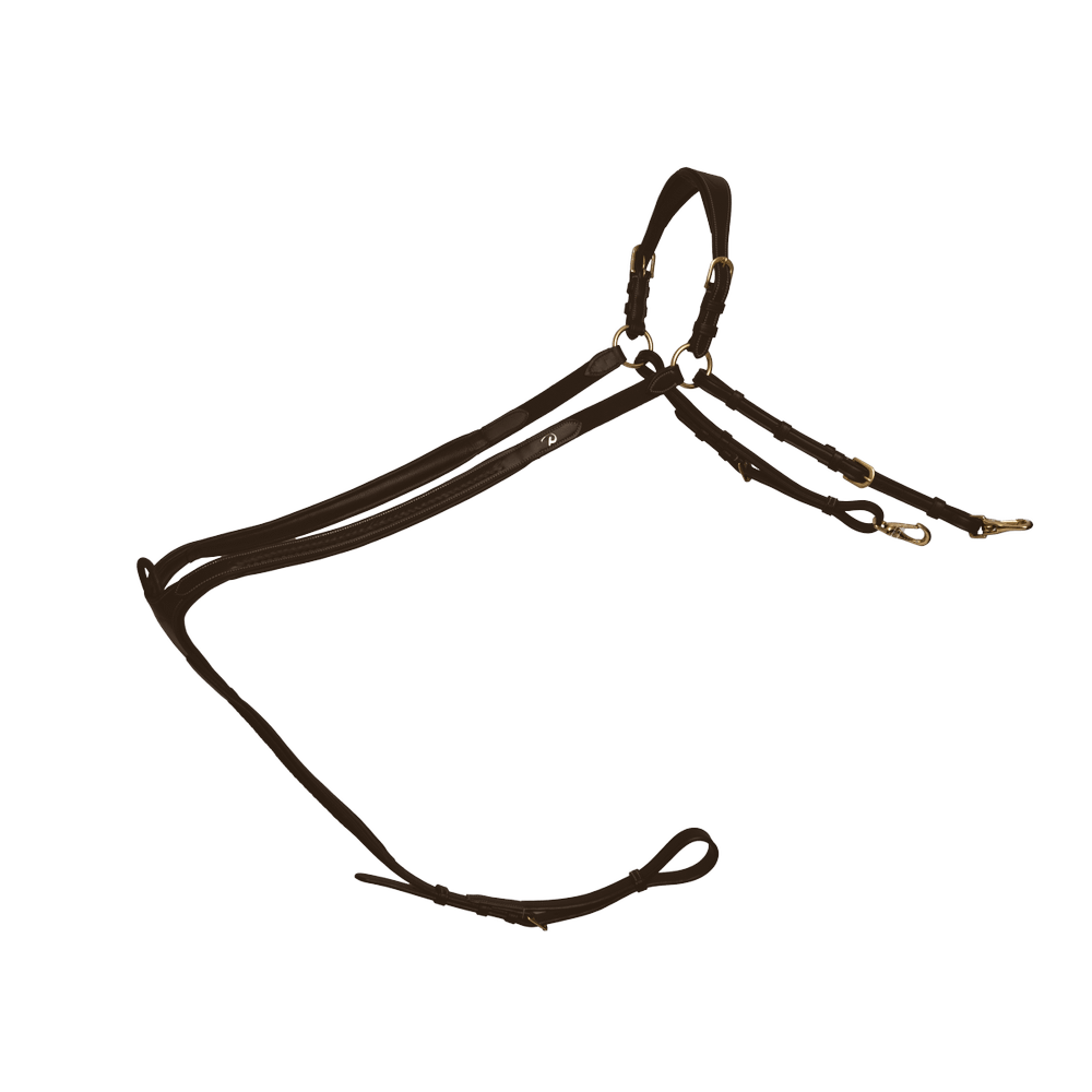 Collier de Chasse à Pont Tressé