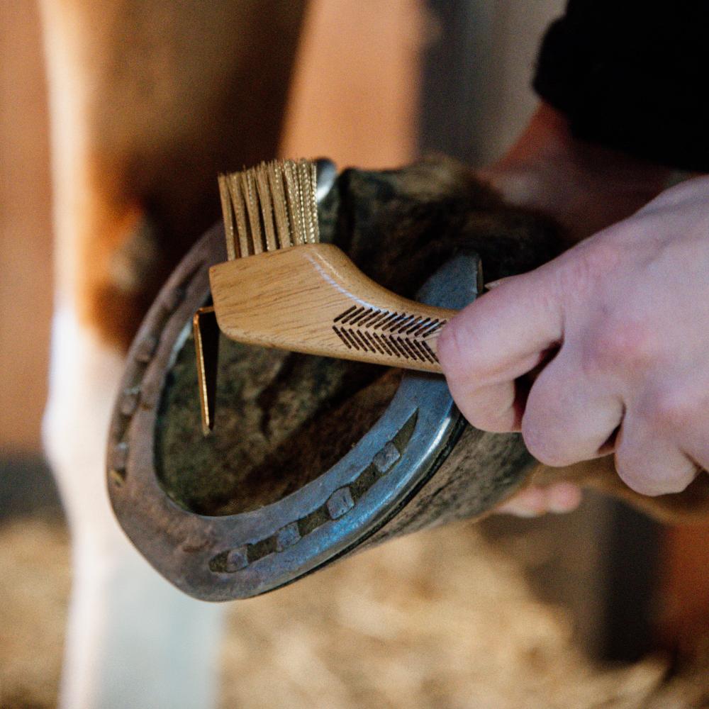 Hoof Pick with metal bristles